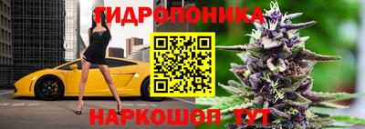 кокаин Кингисепп