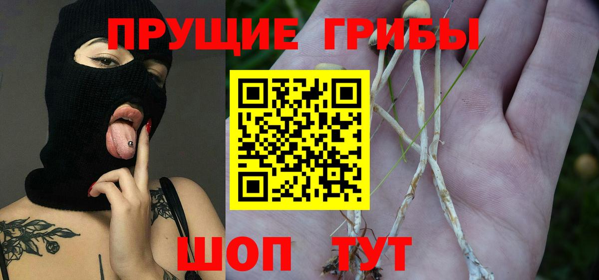 Псилоцибиновые грибы Magic Shrooms  Вход с VPN  Галлюциногенные грибы Magic Shrooms  закладки  Коряжма 