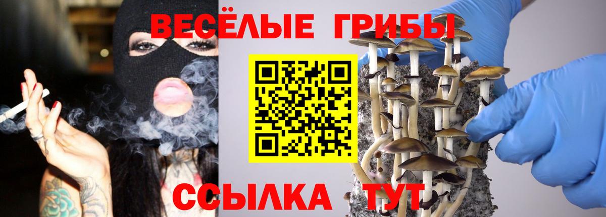 Псилоцибиновые грибы MAGIC MUSHROOMS Коряжма